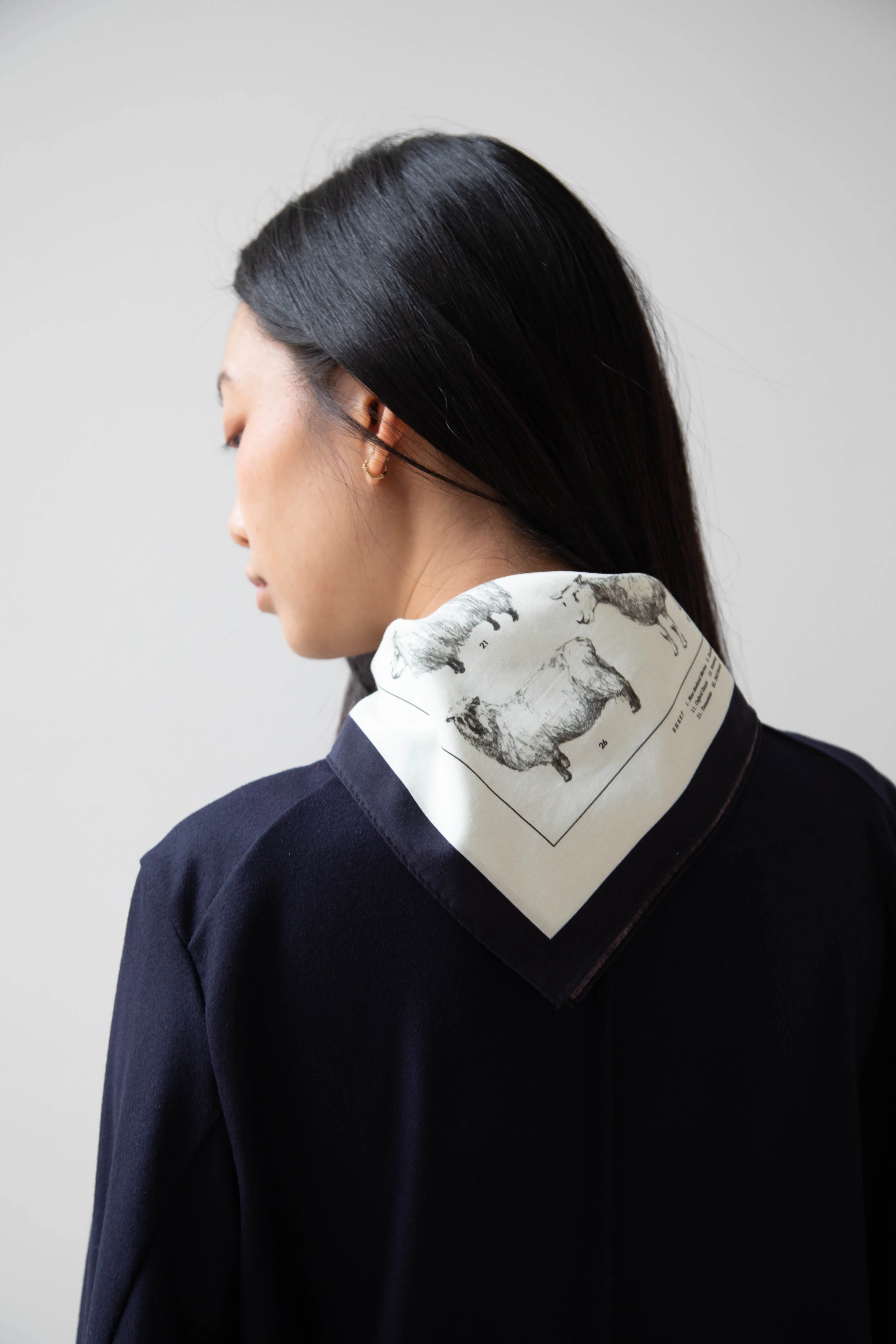 Aseedonclöud | Sheep Scarf in Cotton Silk - Image 19