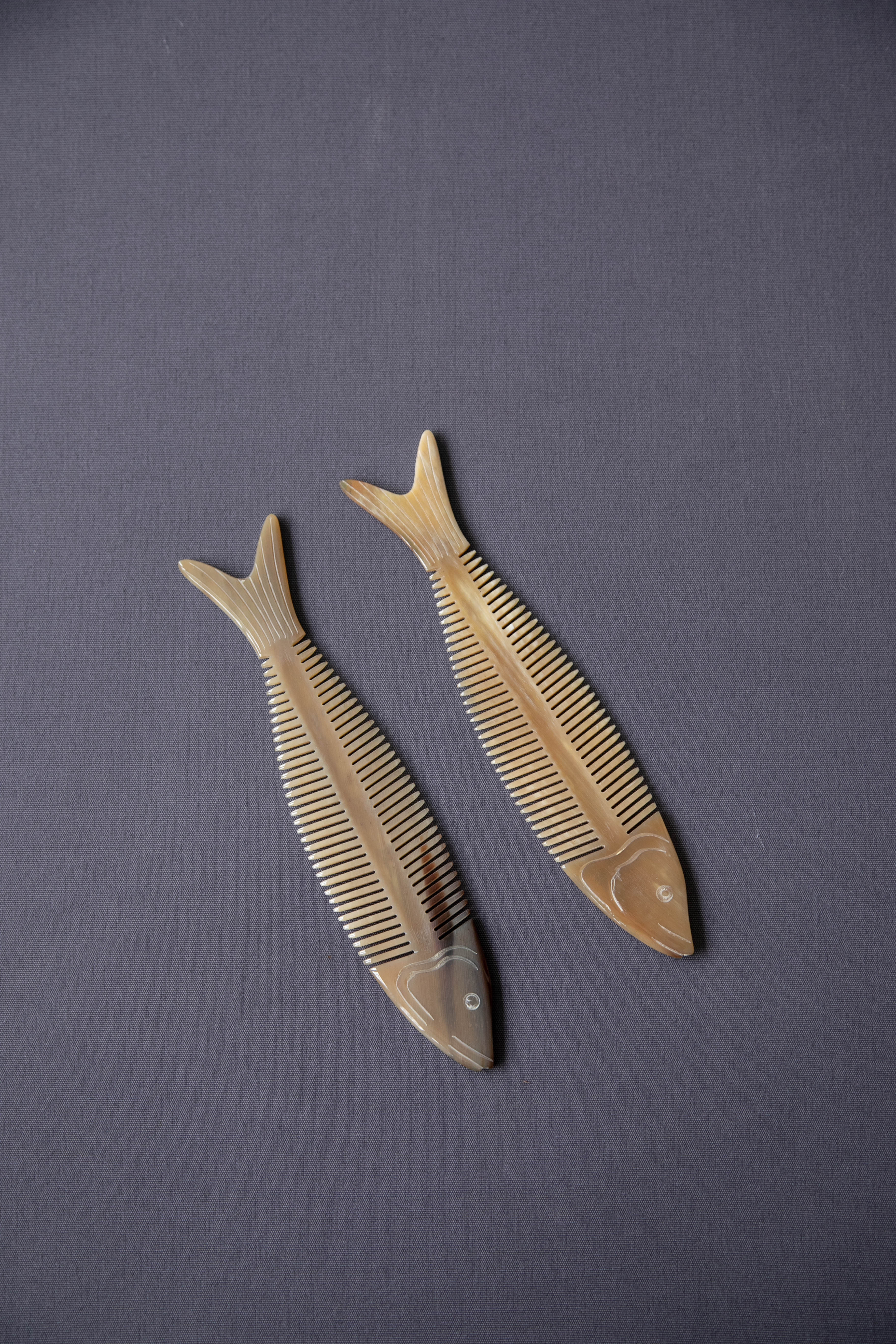 Fish Comb - Image 4
