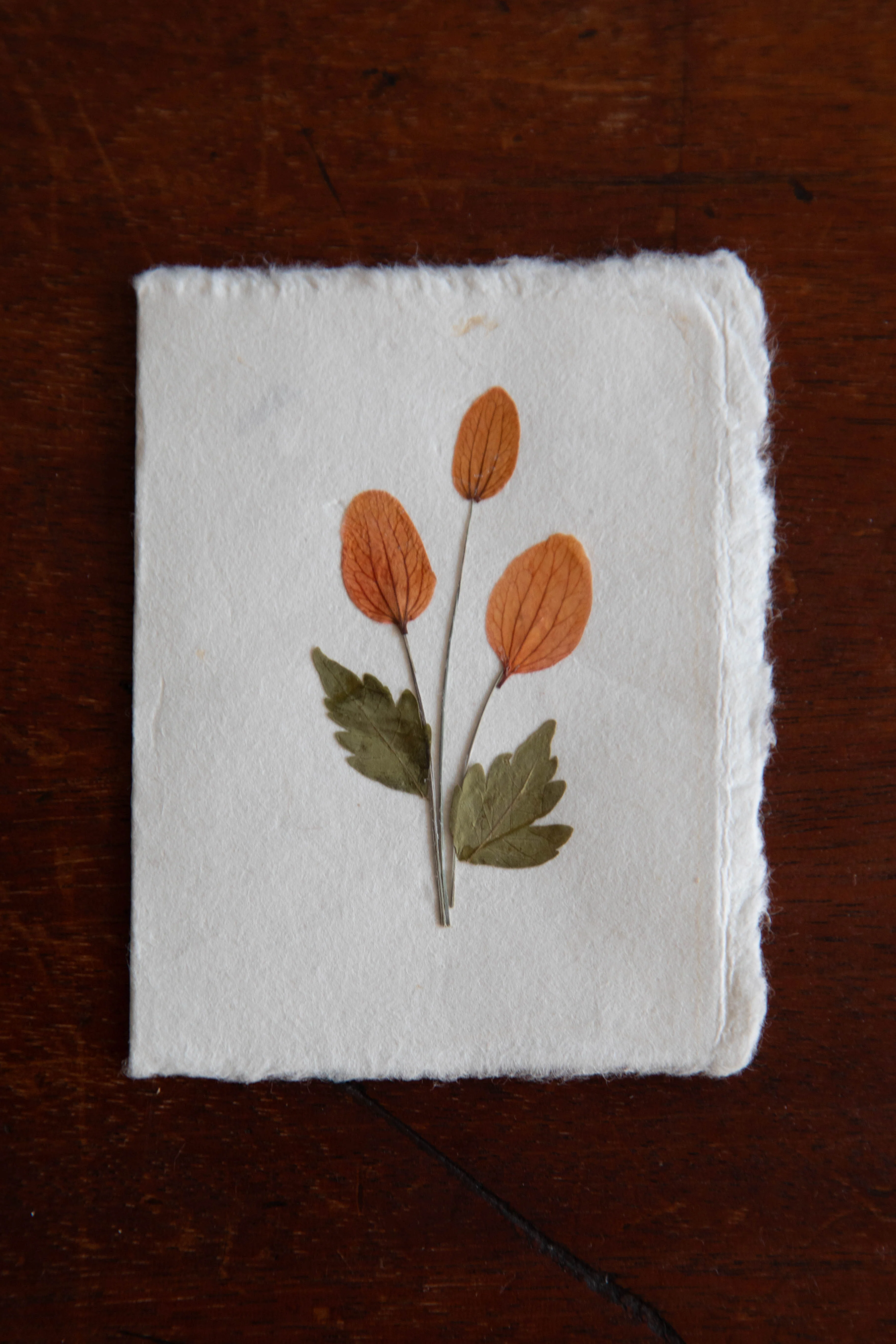 Petite Pressed Flower Card- Multiple Styles Available! - Image 6
